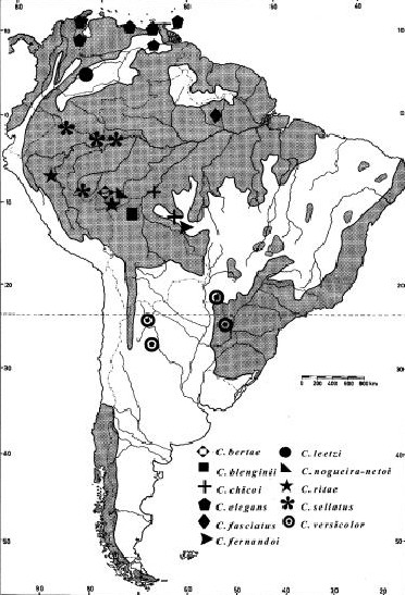 Карта ареала распространения Cyriocosmus spp. Заштрихованная территория = лесной регион
